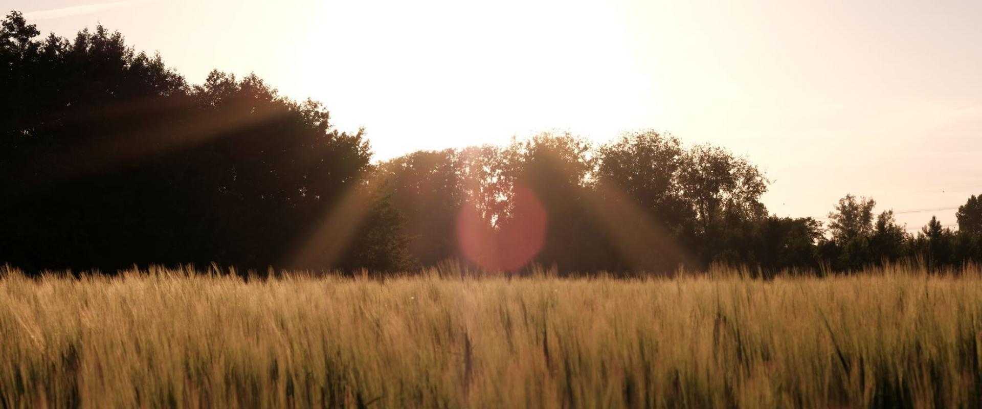 Plesmanhoek met zonsondergang.