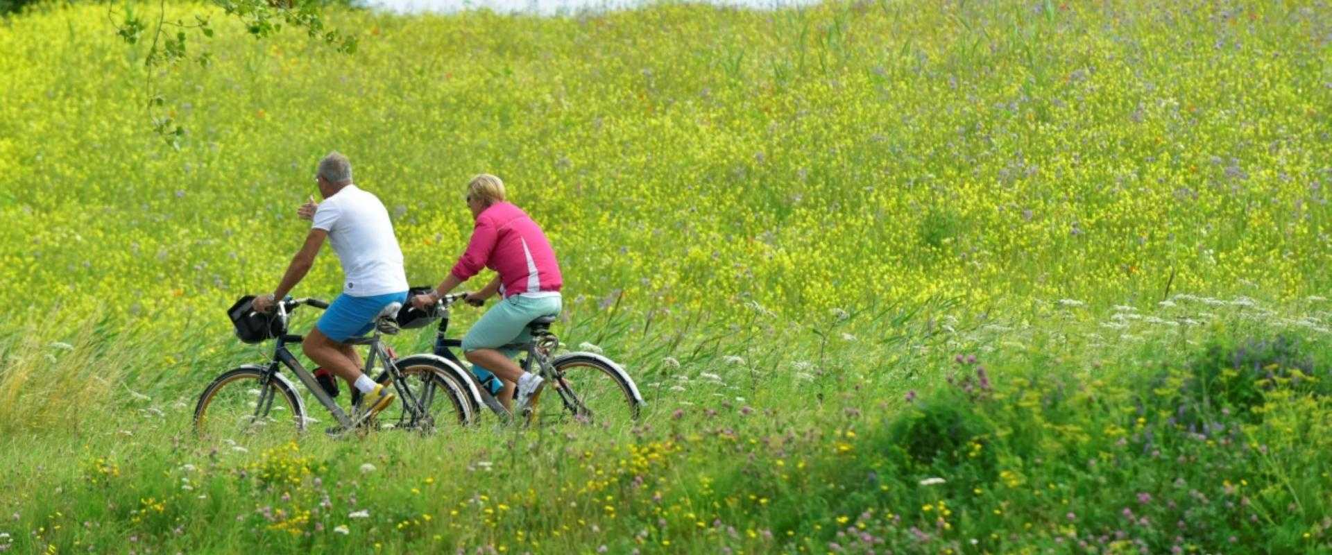 fietsers op Stelling van Amsterdam