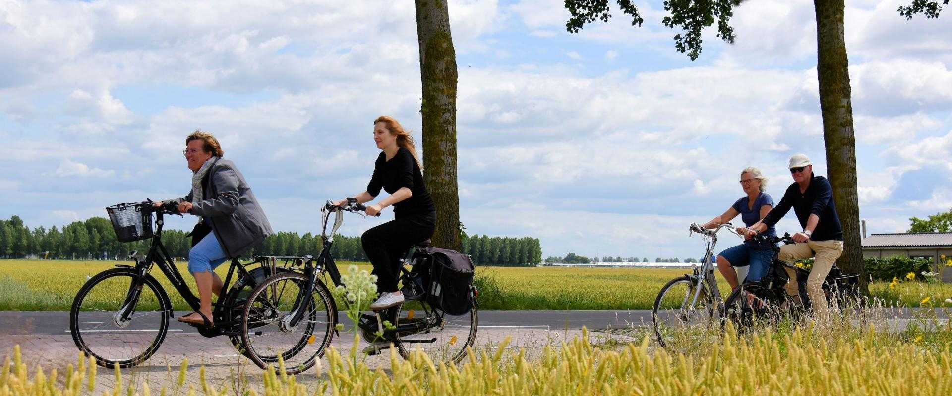 Mensen die fietsen in de polder