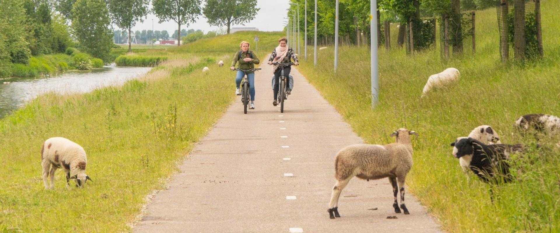fietsers op Stelling van Amsterdam