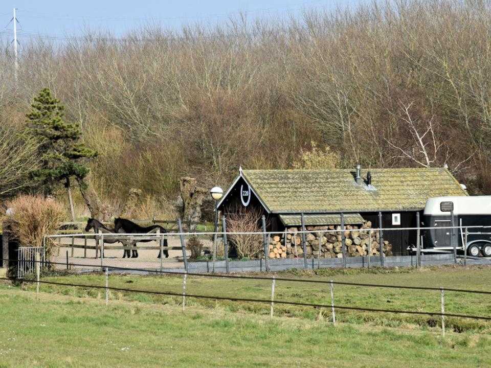 Gastenverblijf 220 in de verte met weiland