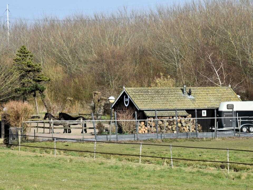 Gastenverblijf 220 in de verte met weiland 