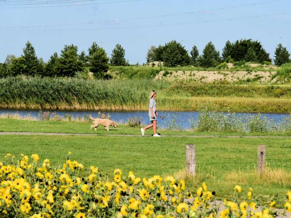 woman walks with dog in park Vijfhuizen