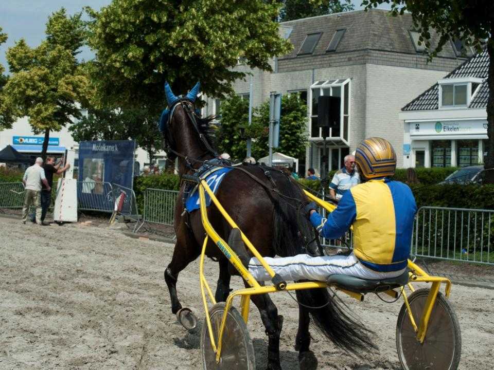 Paard in actie bij Kortebaandraverij Hoofddorp