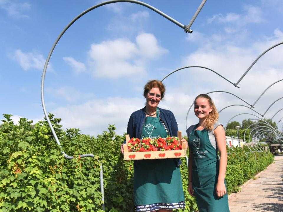 2 dames onder hartenpoort met kist aarbeien in fruitveld