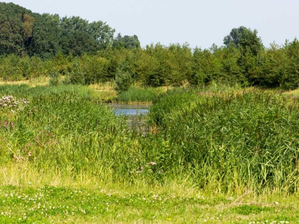 Park Zwanenburg