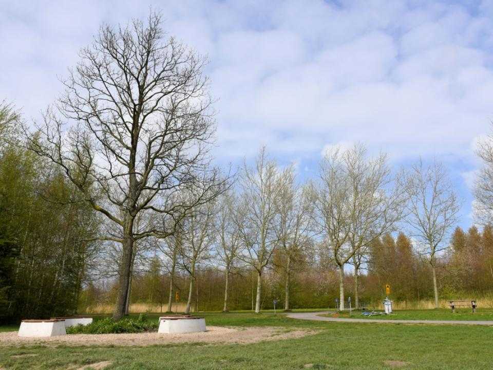 Natuurgebied de groene weelde