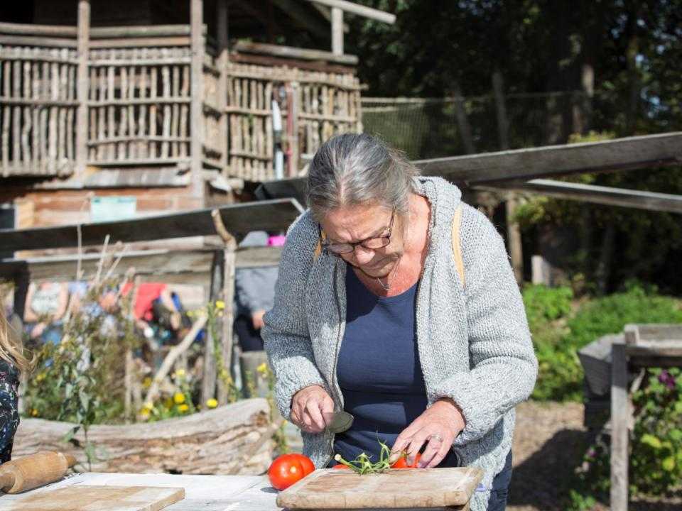 Bezoekster tomaten aan het snijden in heemstuin heimanshof