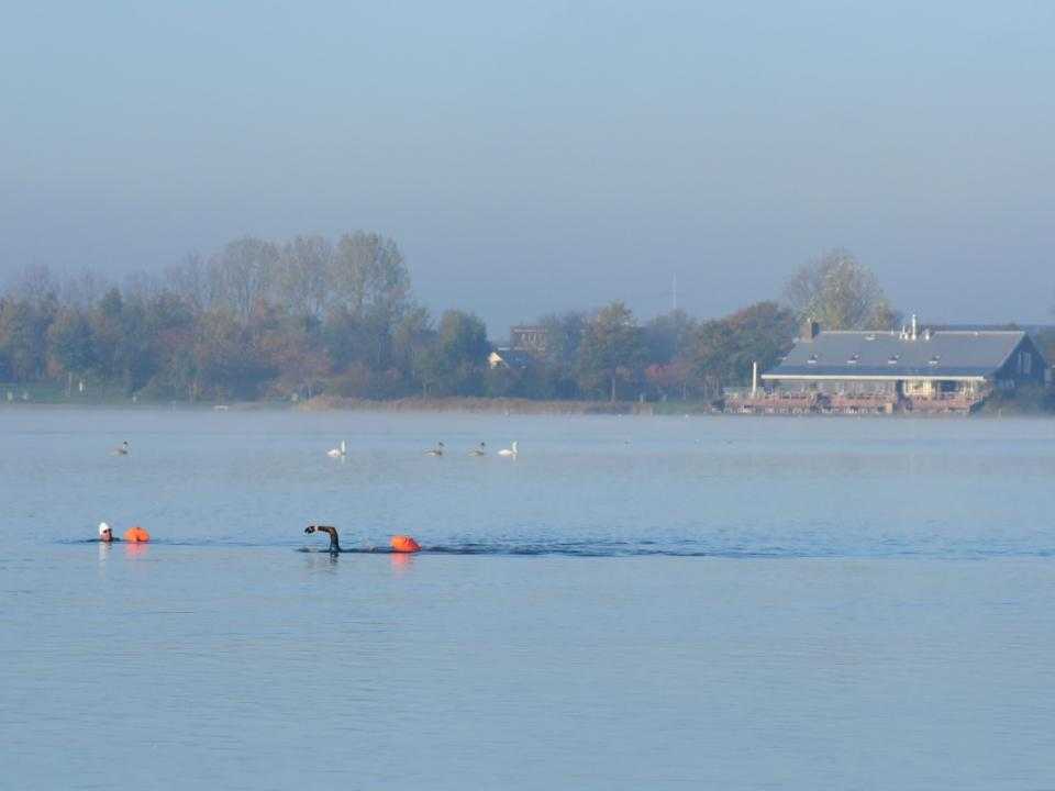 Plas Toolenburg met Long Island op de achtergrond en zwemmer op voorgrond