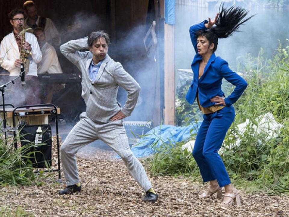 Foto optreden Grazende Zwaan