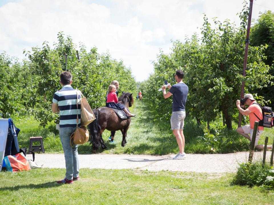Boomgaard Olmenhorst met kind op pony
