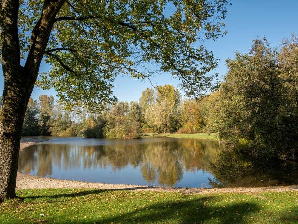 Waterpartij in recreatiegebied Haarlemmermeerse bos in de herfst