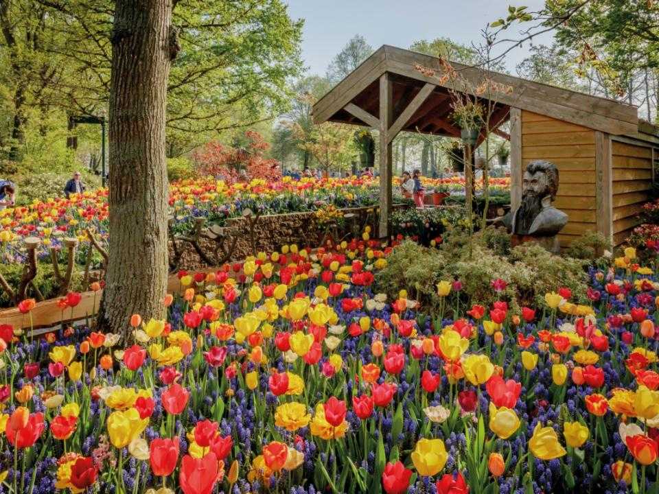 Tulpenvelden in Keukenhof