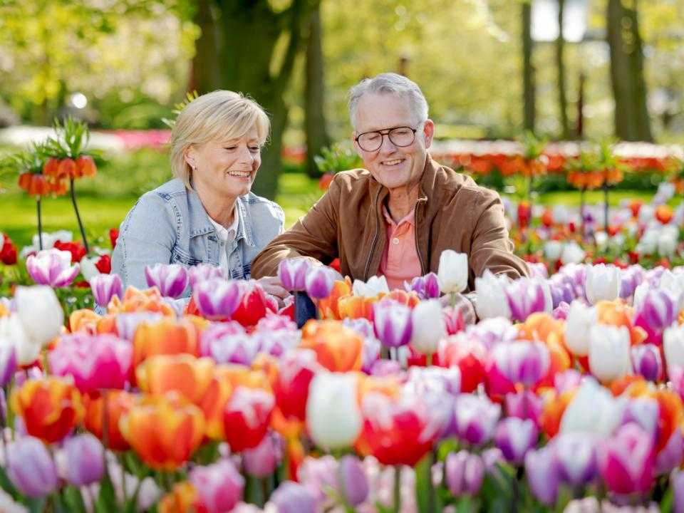 Een ouder stel poseert achter gekleurde tulpen in Keukenhof