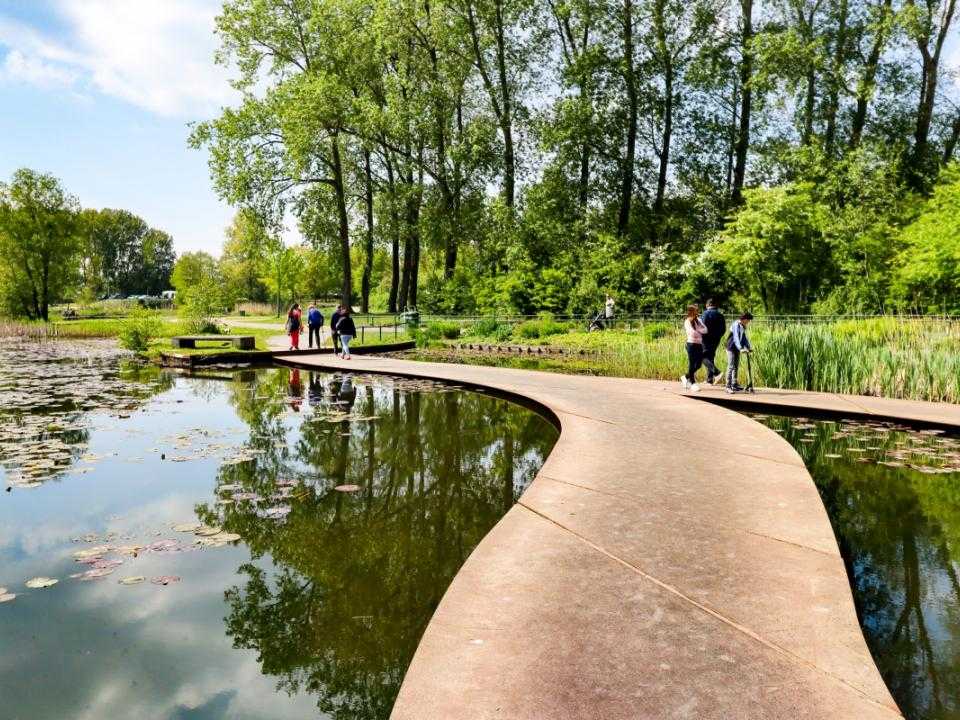 Waterpartij met wandelpad in Haarlemmermeerse bos