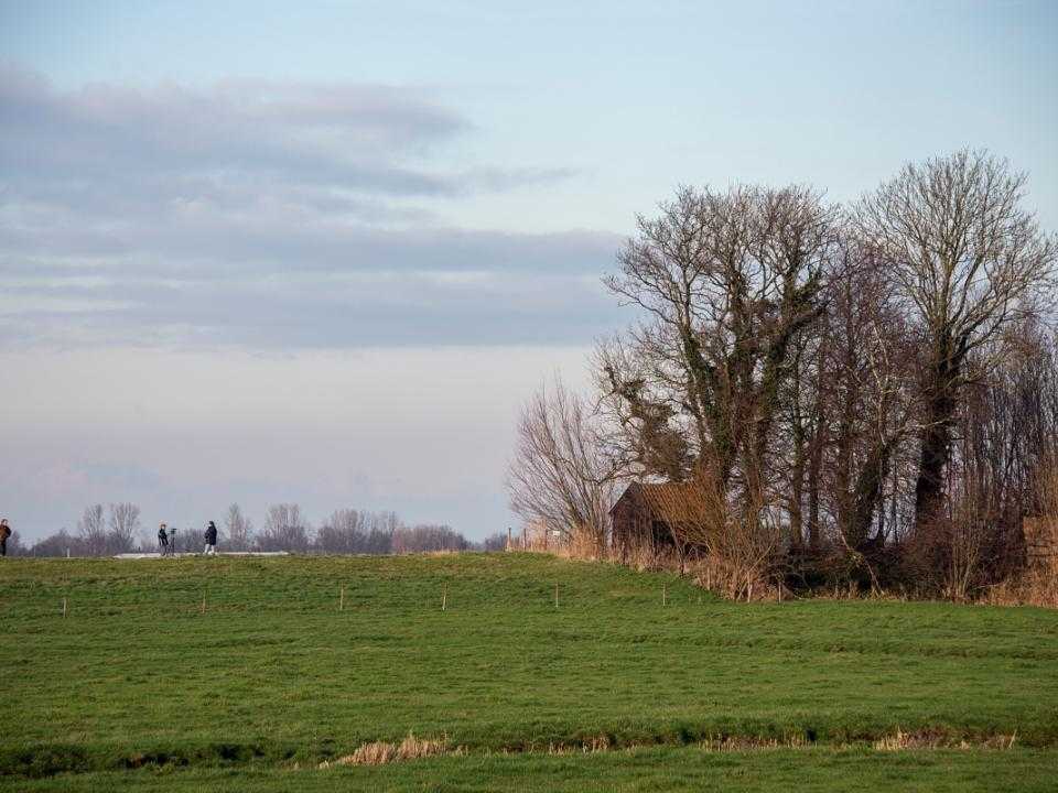 Natuur Eendenkooi Stokman