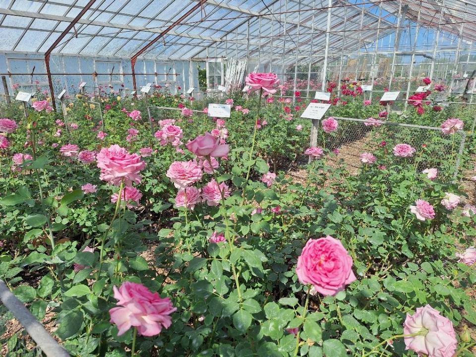 Historische Tuin Aalsmeer