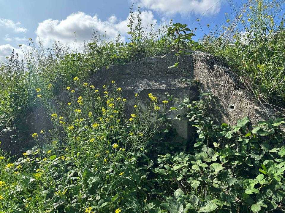 Bunker met bloemetjes