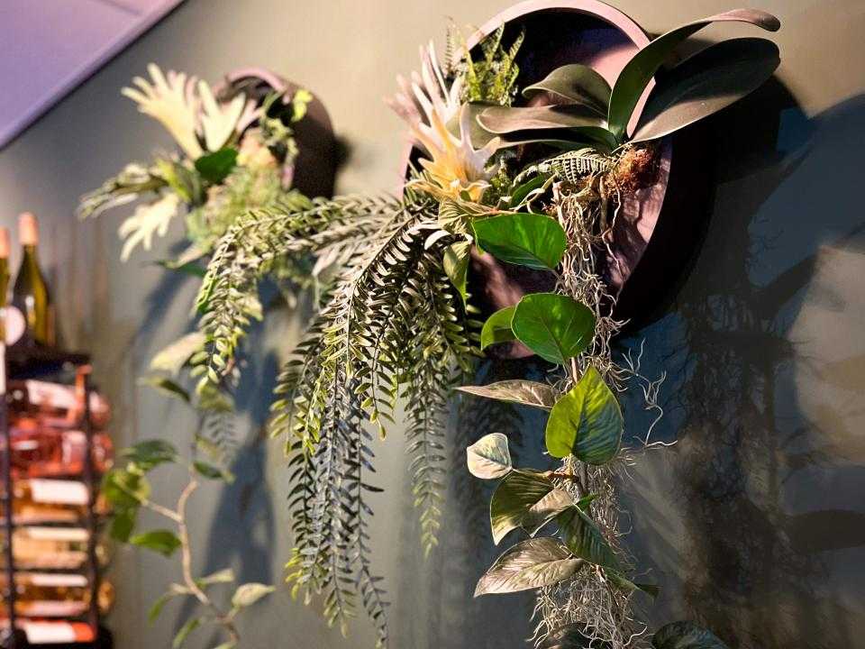 Planten aan de muur