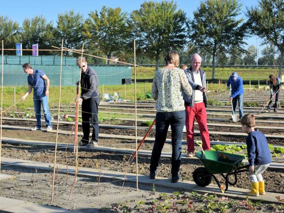 Moestuin in Park21