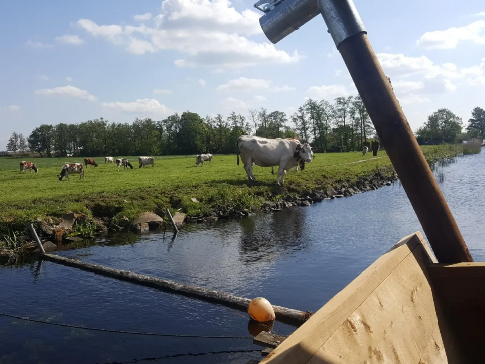 Uitzicht vanaf safaritent