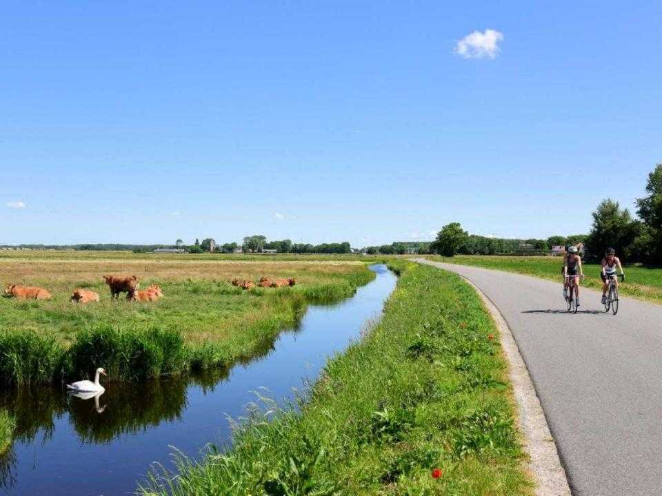 Fietsers in Spaarnwoude Park