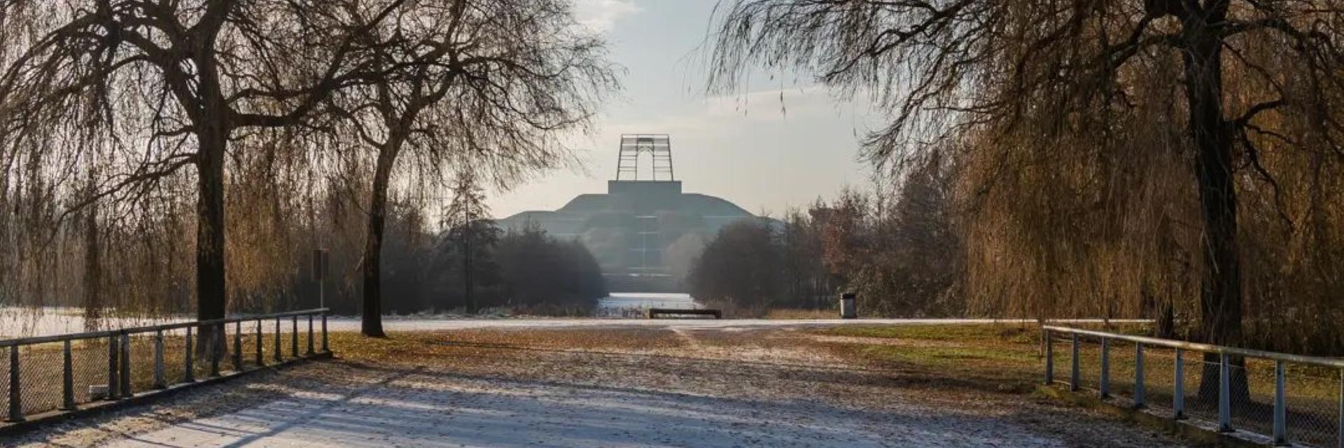 Doorkijkje door bomen met herfstbladeren en met de Big Spotters Hill als uitkijkpunt