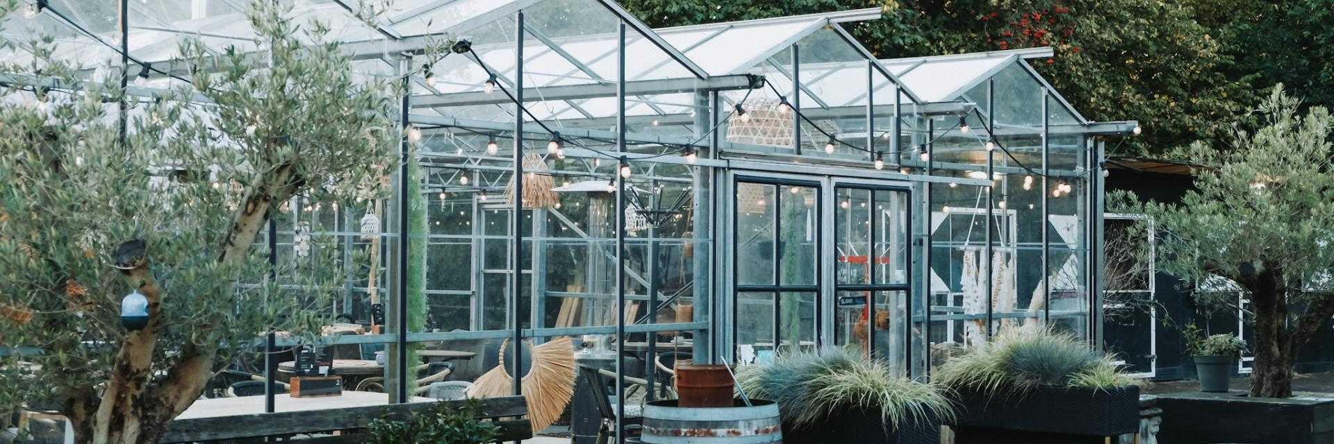 Ready2Q: cozy restaurant in a greenhouse