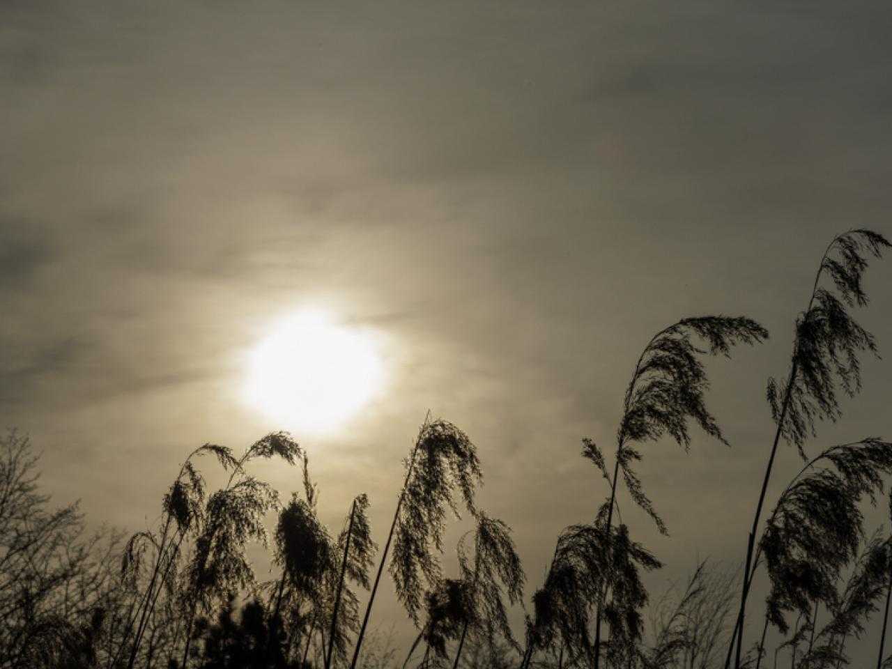 Natuur in de heimanshof
