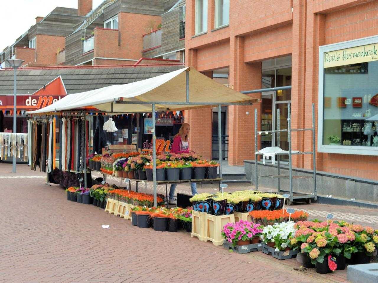 Bloemen op de weekmarkt Nieuw-Vennep