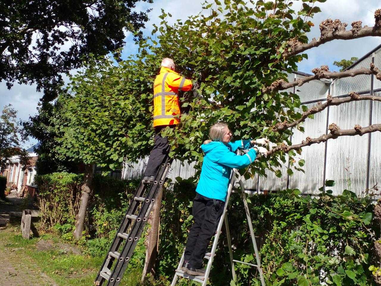 Natuurwerkdag