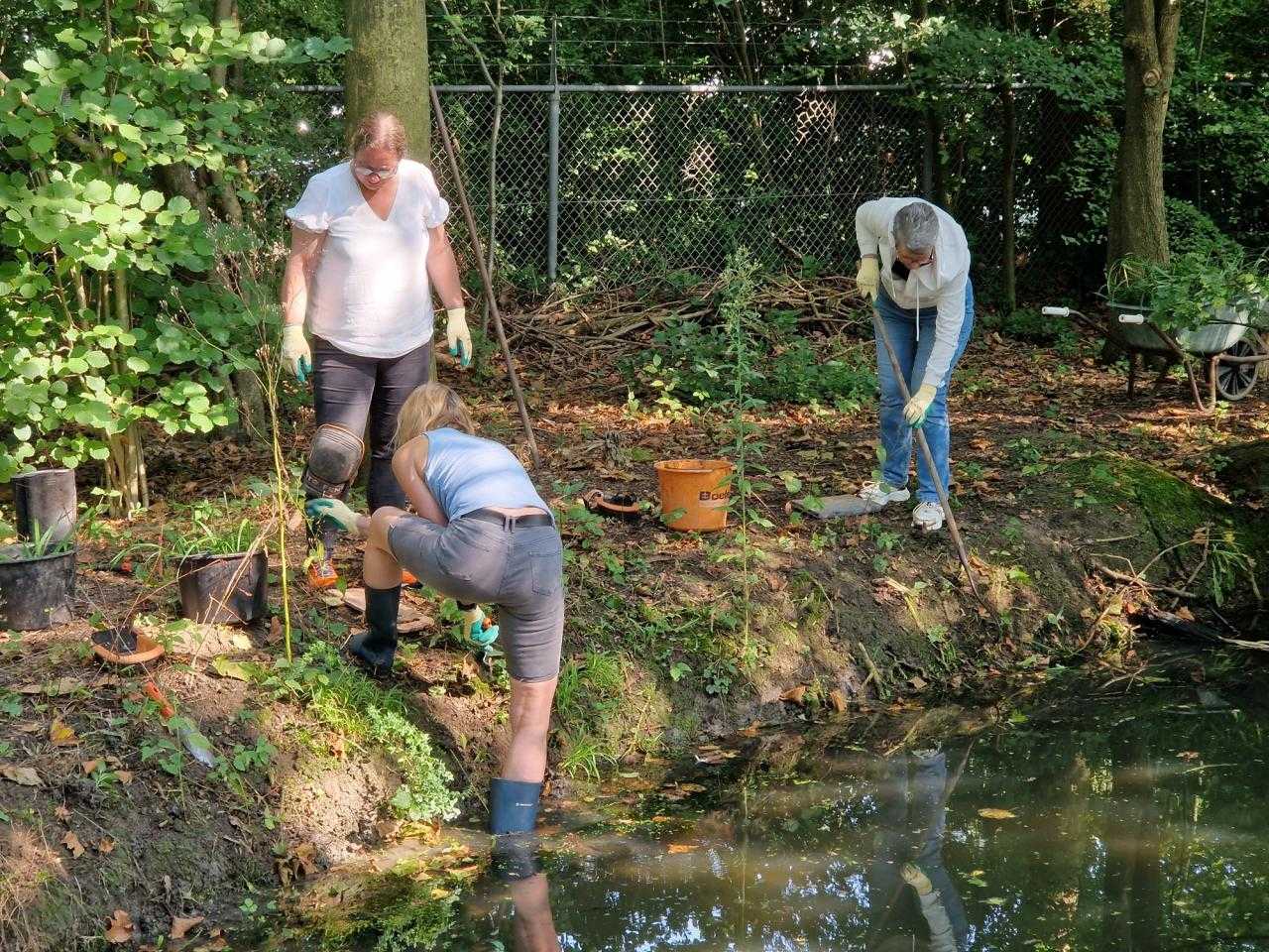 Mensen aan het werk in de natuur