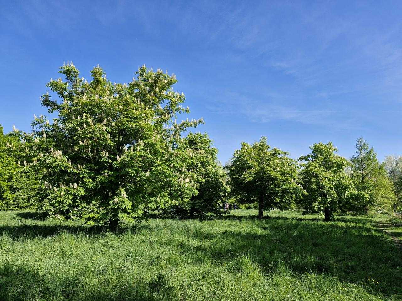 Natuur