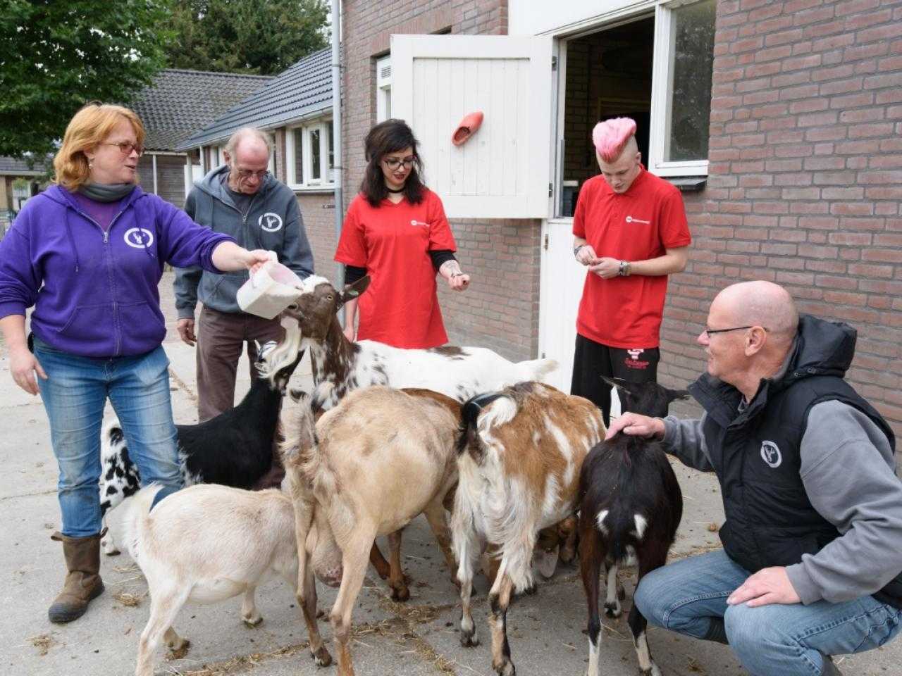 Medewerkers geven paar geiten eten bij Kinderboerderij de Knuffelweide