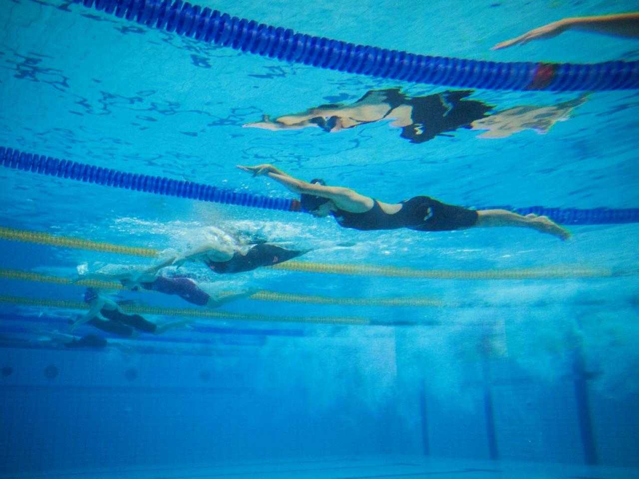 Zwemmers van onder water gefotografeerd