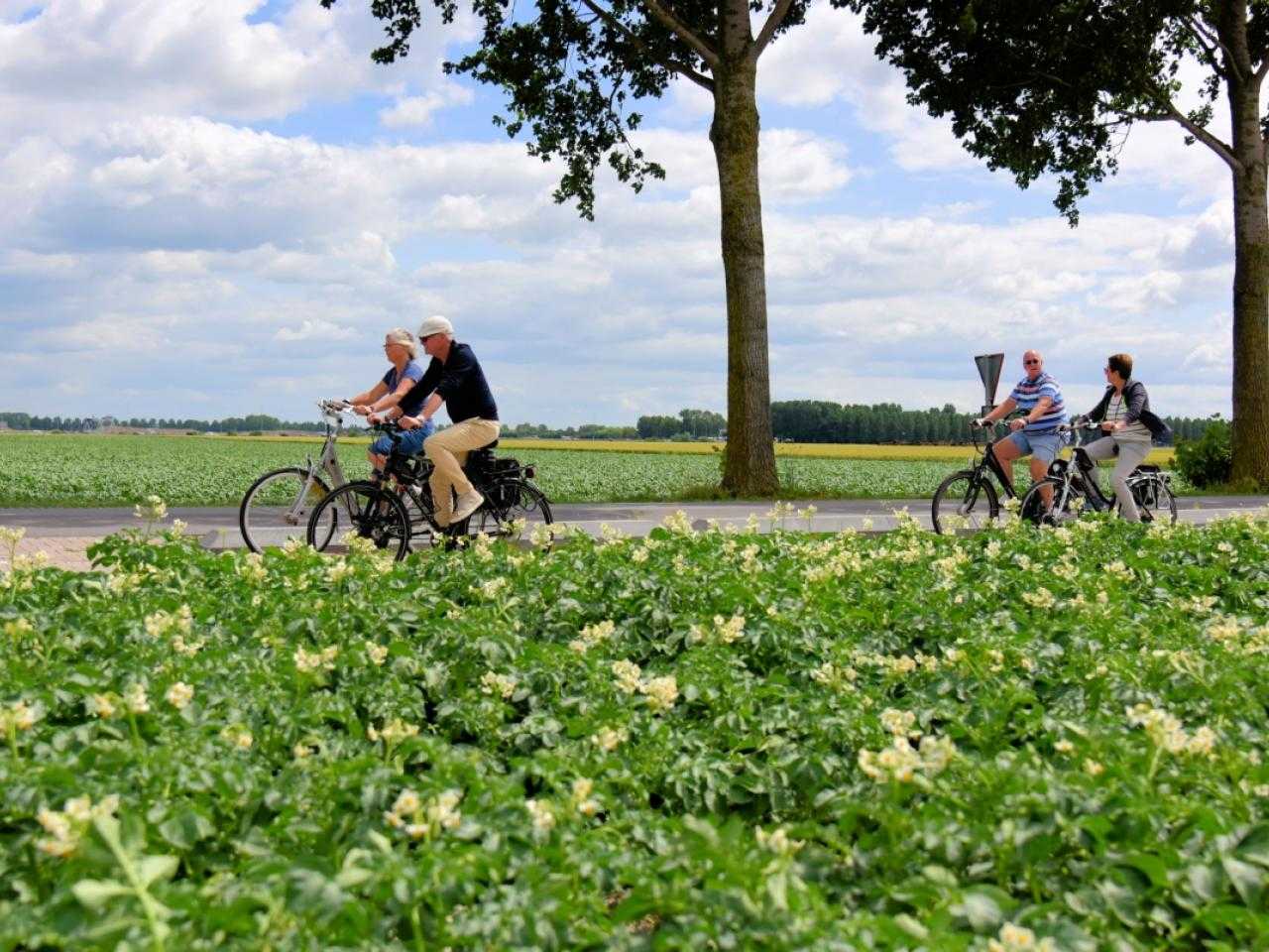 Mensen die fietsen