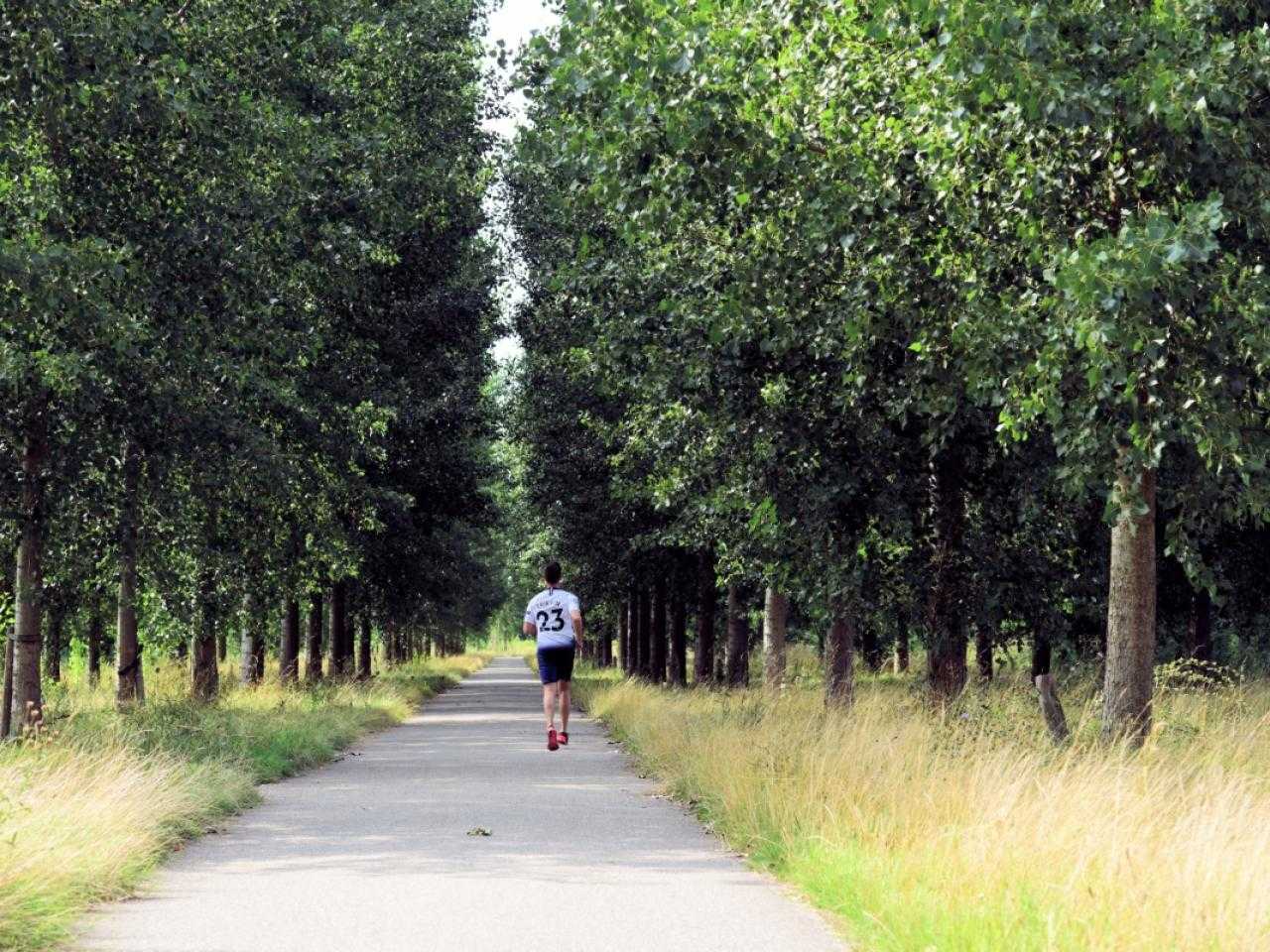 Man rent in natuurgebied Venneperhout