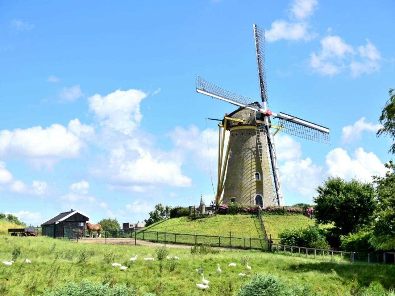 Windmill the Eersteling in Hoofddorp
