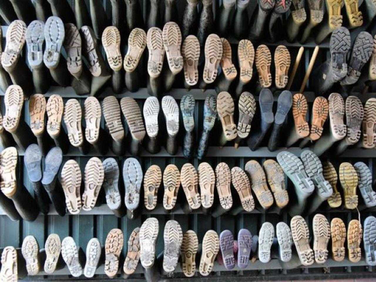 Boerengolf Haarlemmermeer