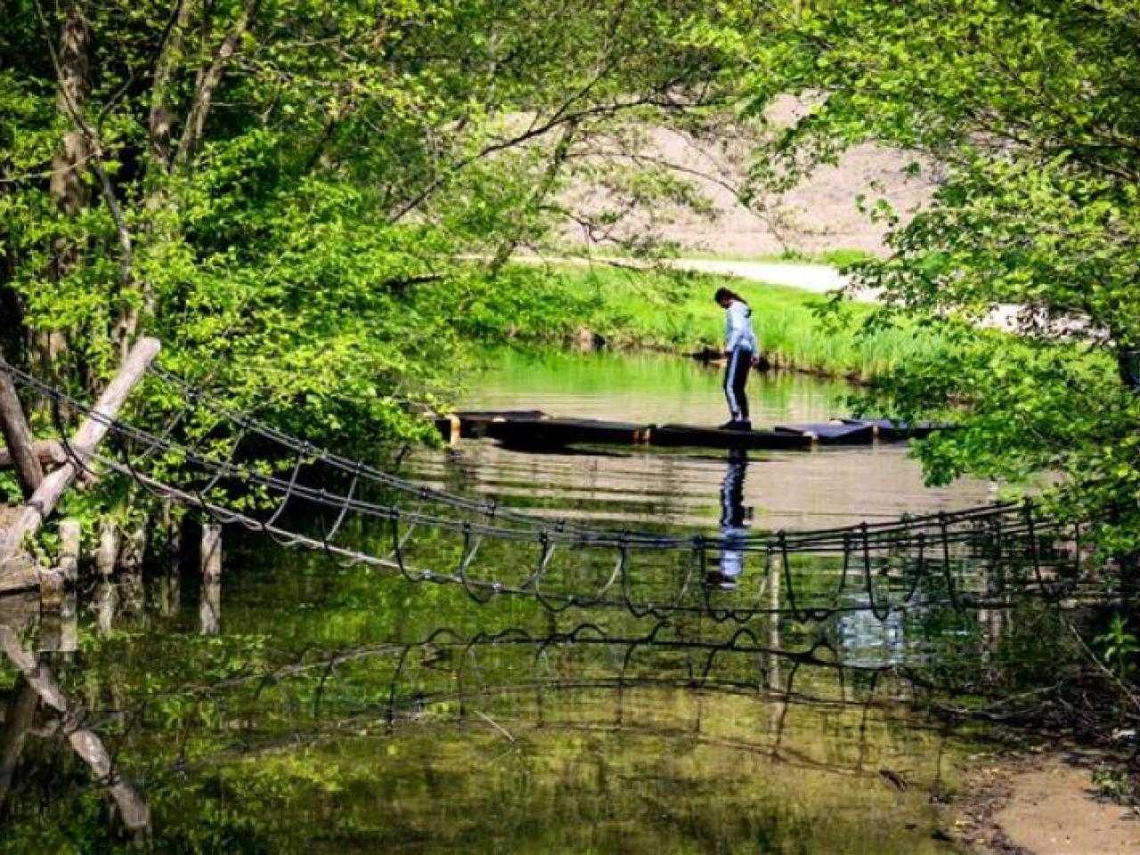 Het Haarlemmermeerse Bos