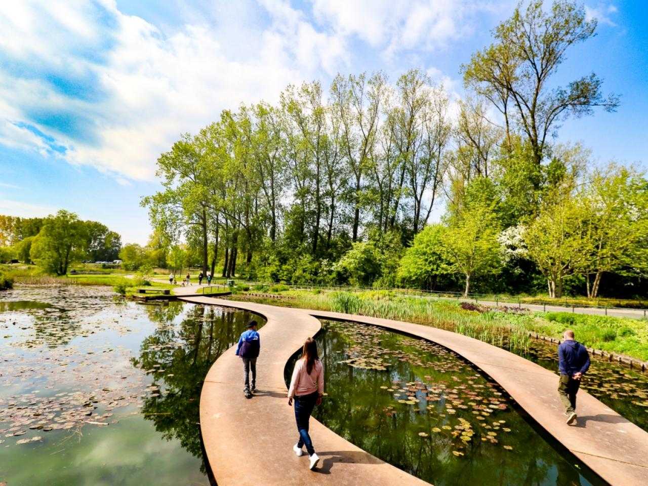 Wandelpad Haarlemmermeerse bos. 