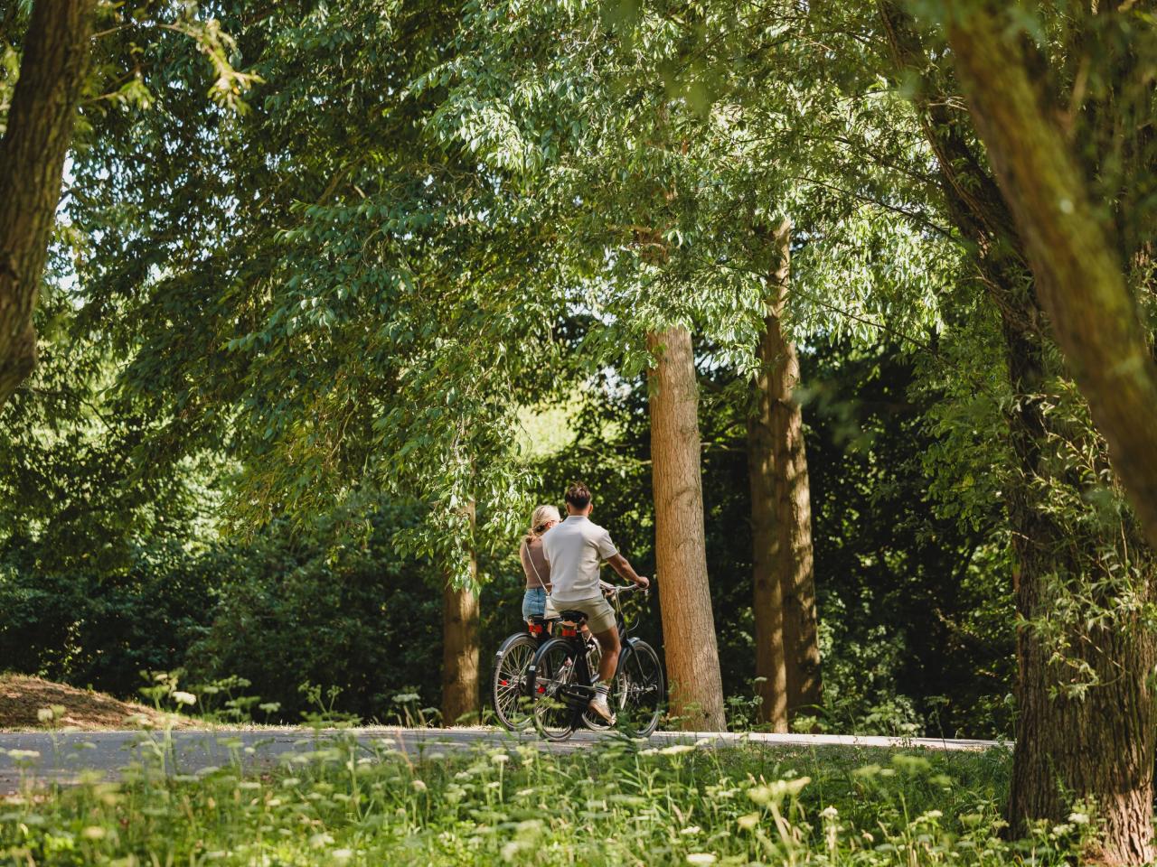 Fietsers in het Haarlemmermeerse bos