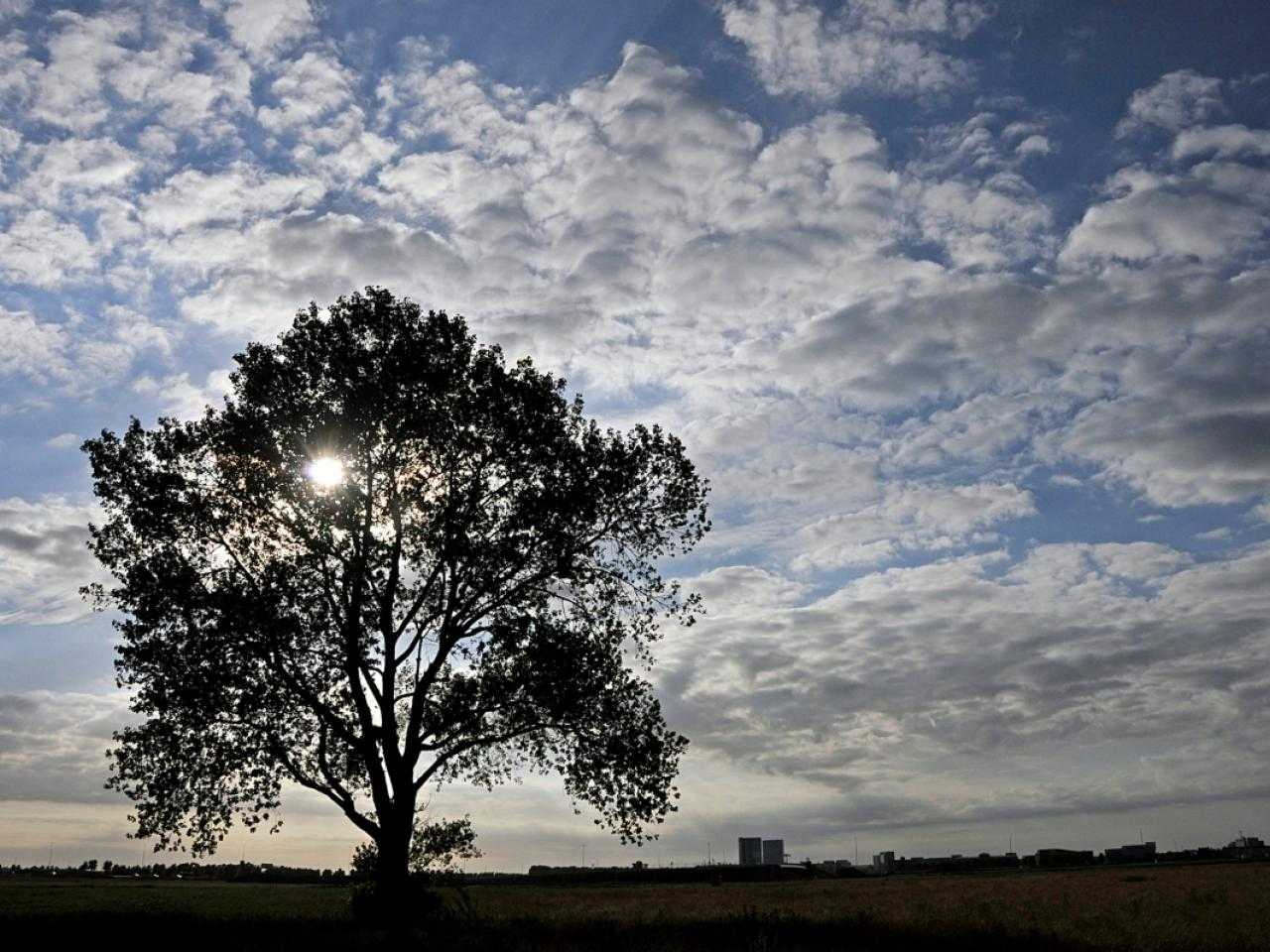 Ruime vergezichten vanuit Rozenburg. 