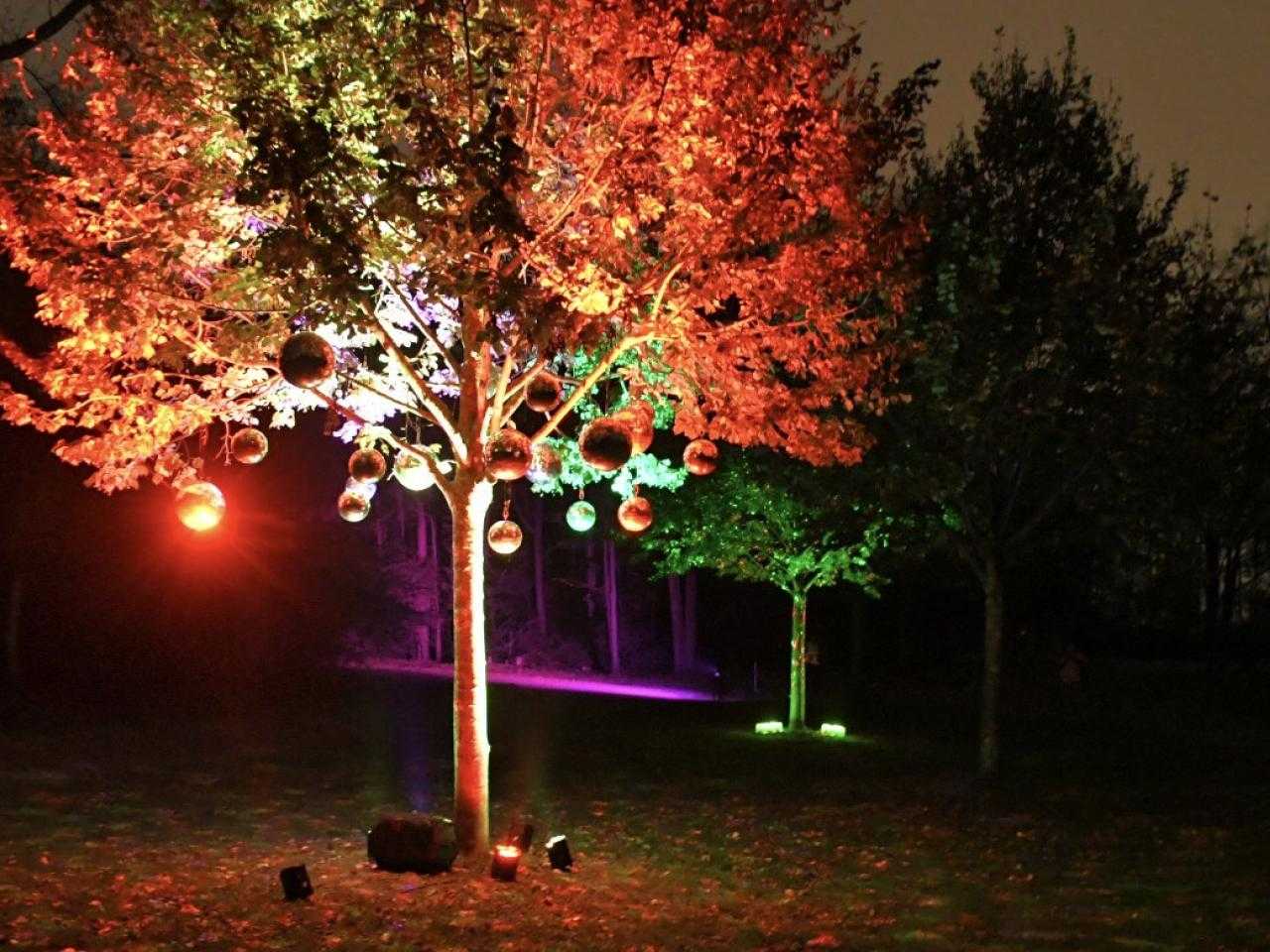 Verlichte bomen in het donker