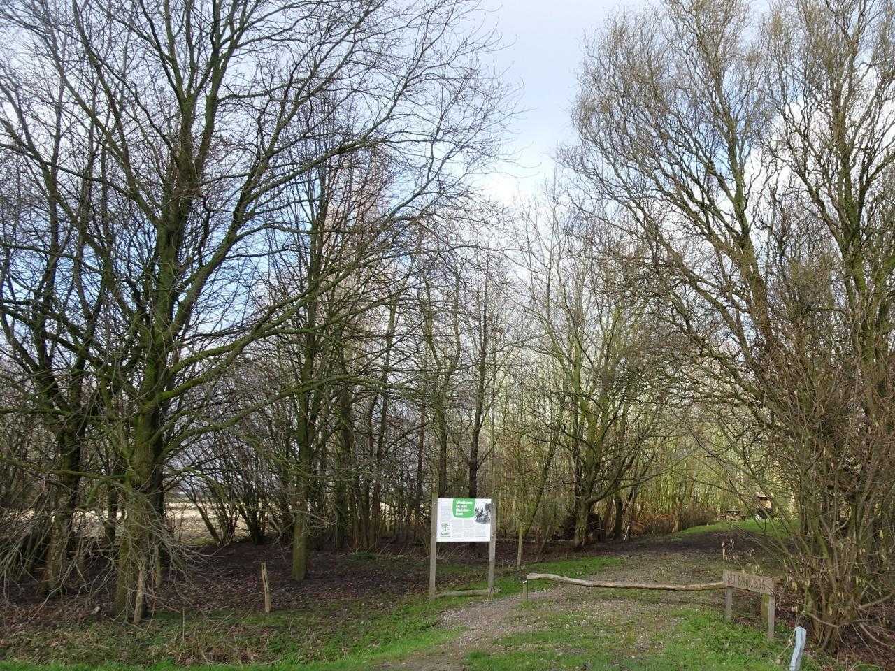 Bulderbos in Haarlemmermeer