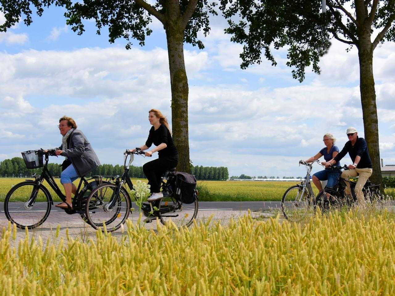 Mensen die fietsen in de polder