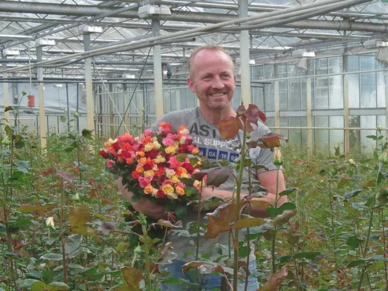 Martijn Vis met rozen uit eigen kas. 