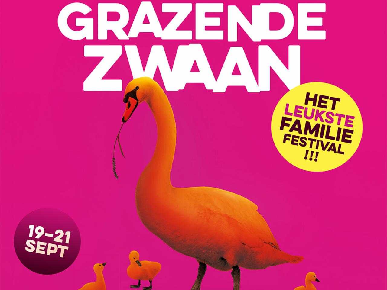 Poster van Grazende Zwaan