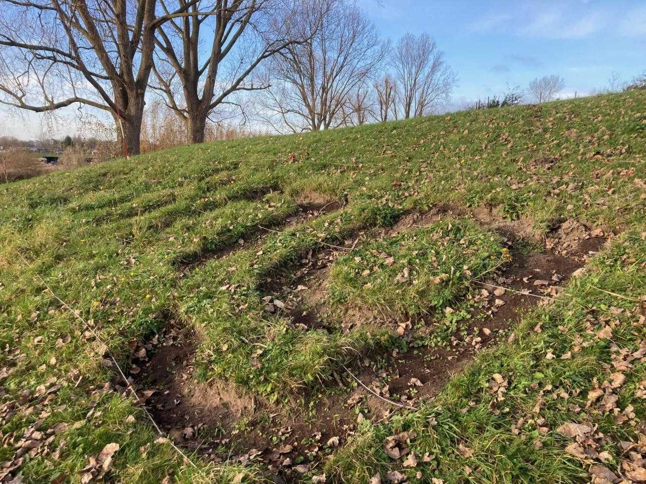 Uitgegraven woord HELING