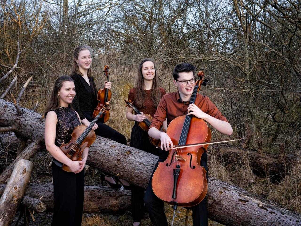 Vier muzikanten met instrumenten buiten